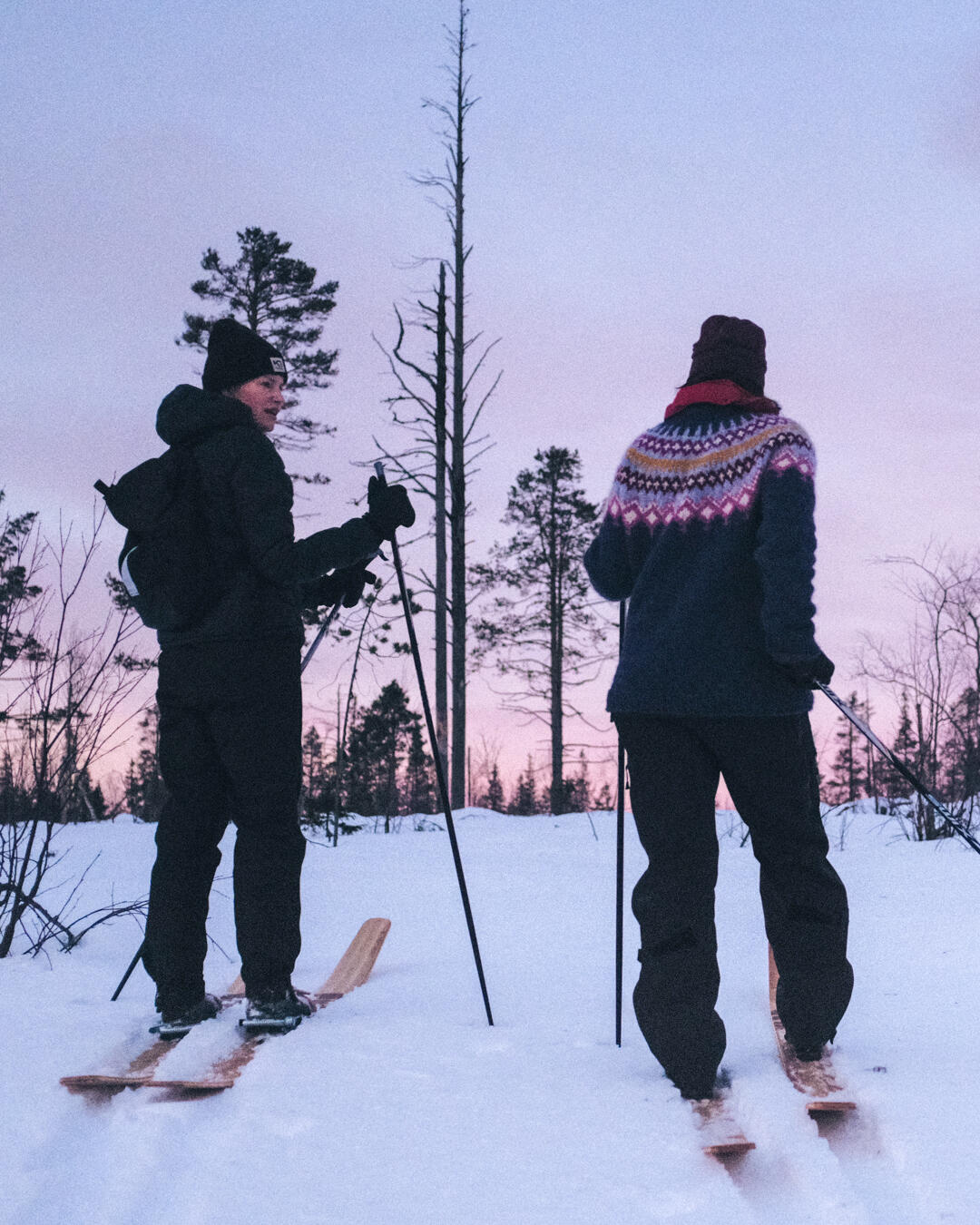 Lössnö skidåkning Skidåkning vinter